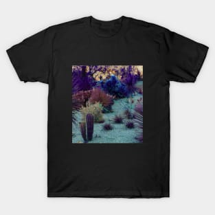 Purple Deseret T-Shirt